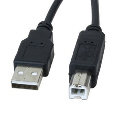 [CAB660] CABLE XTECH 10FT USB 2.0 A-MALE TO B-MALE (XTC-303)